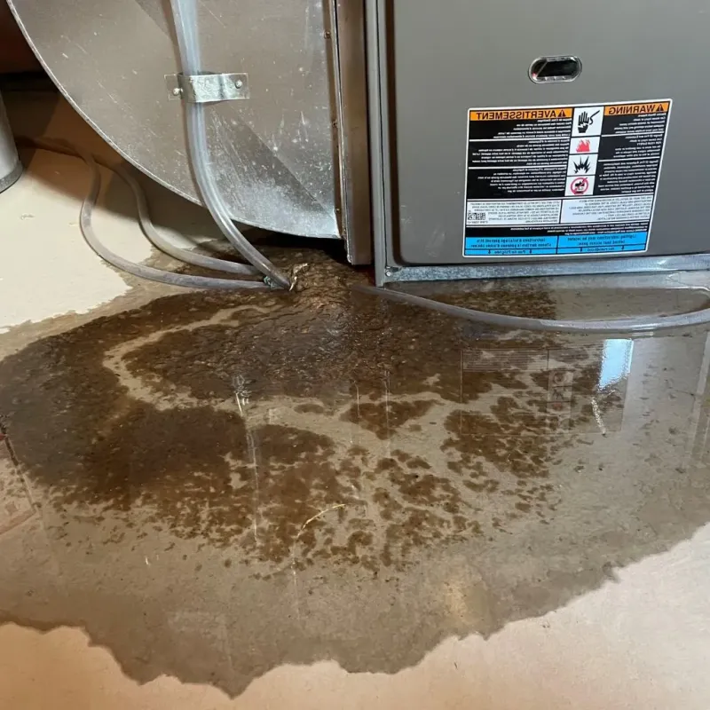 Pipe Burst and Leak Restoration in Ferrum, VA