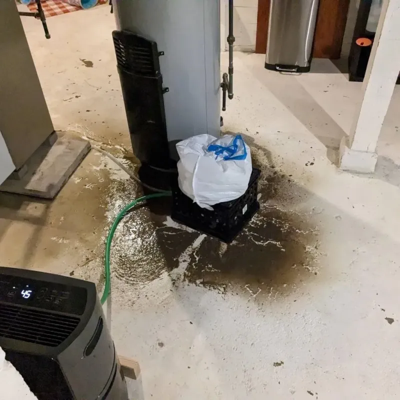 Sewage Backup Cleanup Service in Ferrum, VA